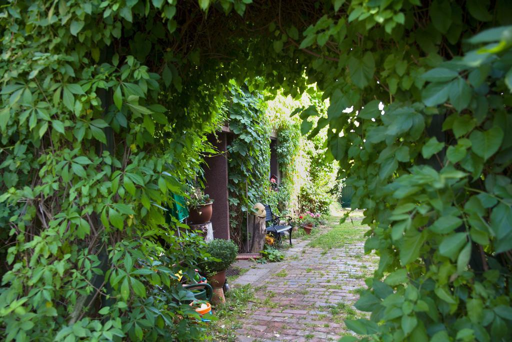 Pension Altstadt Borna Exterior photo