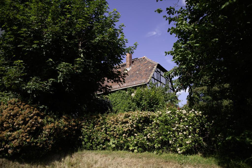 Pension Altstadt Borna Exterior photo