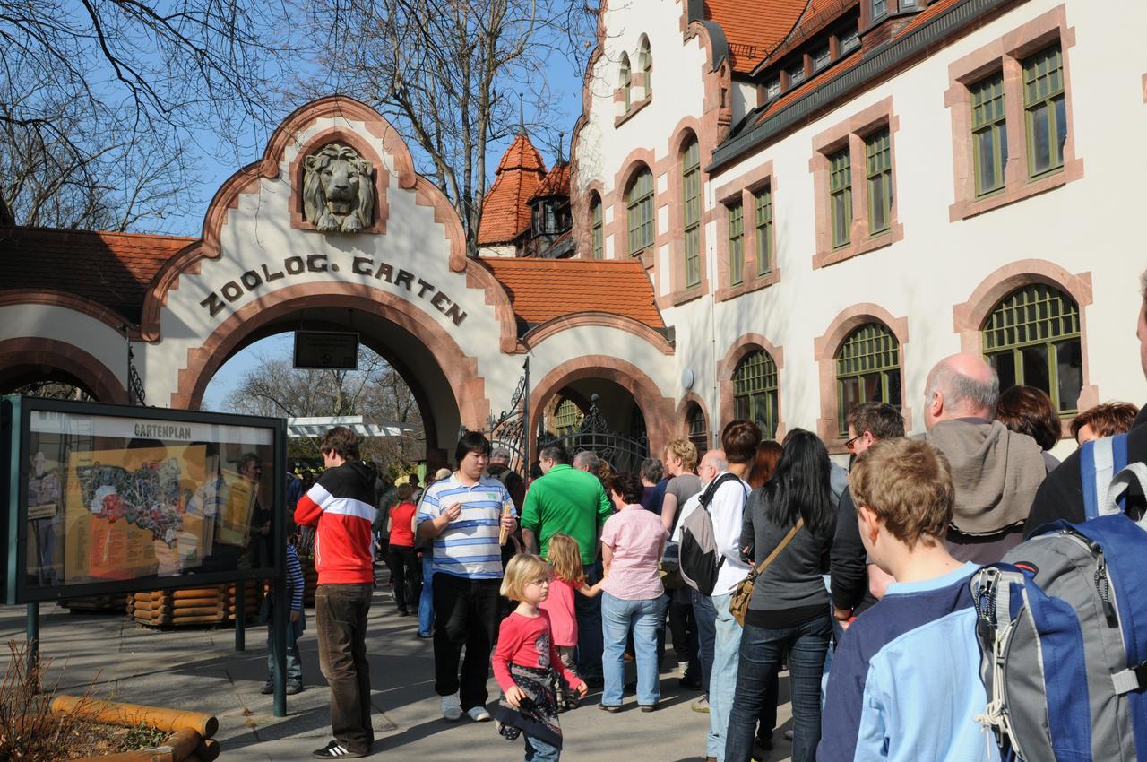 Pension Altstadt Borna Exterior photo